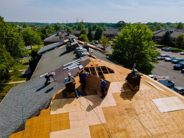 Best Metal Roofing Contractor  in Huntertown, IN